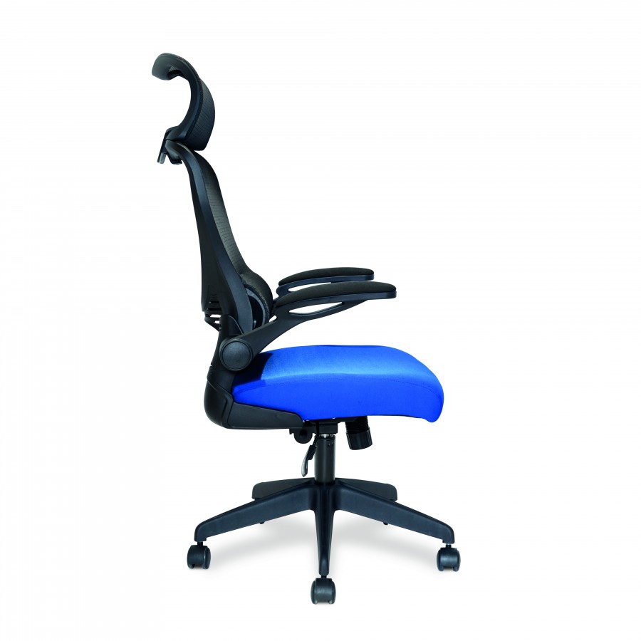 Canis High Back Mesh Office Chair